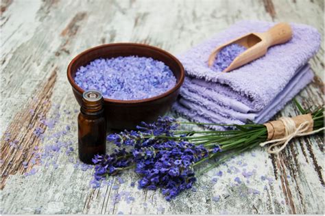 Lavender for Self-Love and Self-Care Magick: Nurturing Your Soul
